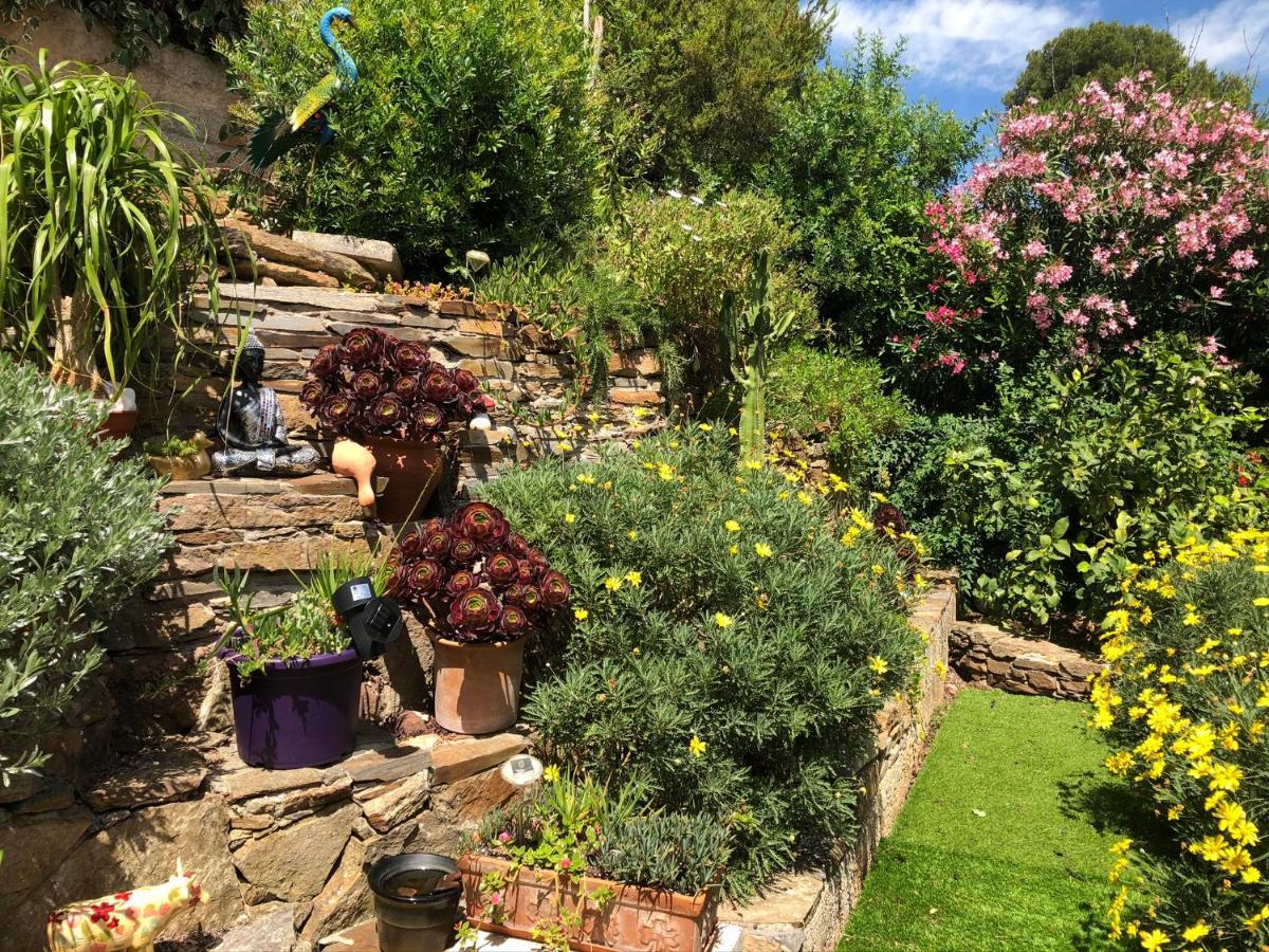 Logement Zen Sur La Colline Aux Mimosas Hyères Екстериор снимка