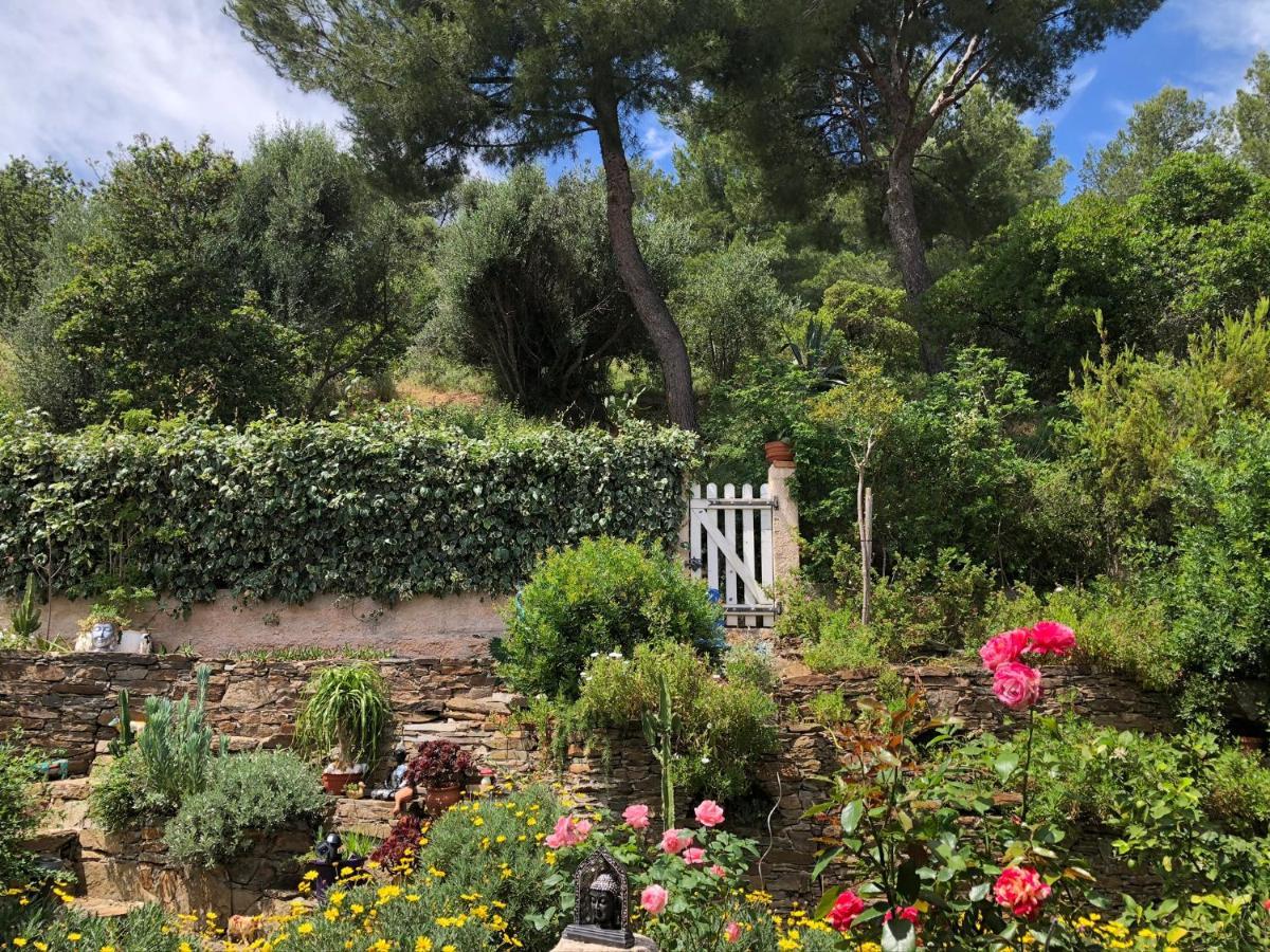 Logement Zen Sur La Colline Aux Mimosas Hyères Екстериор снимка