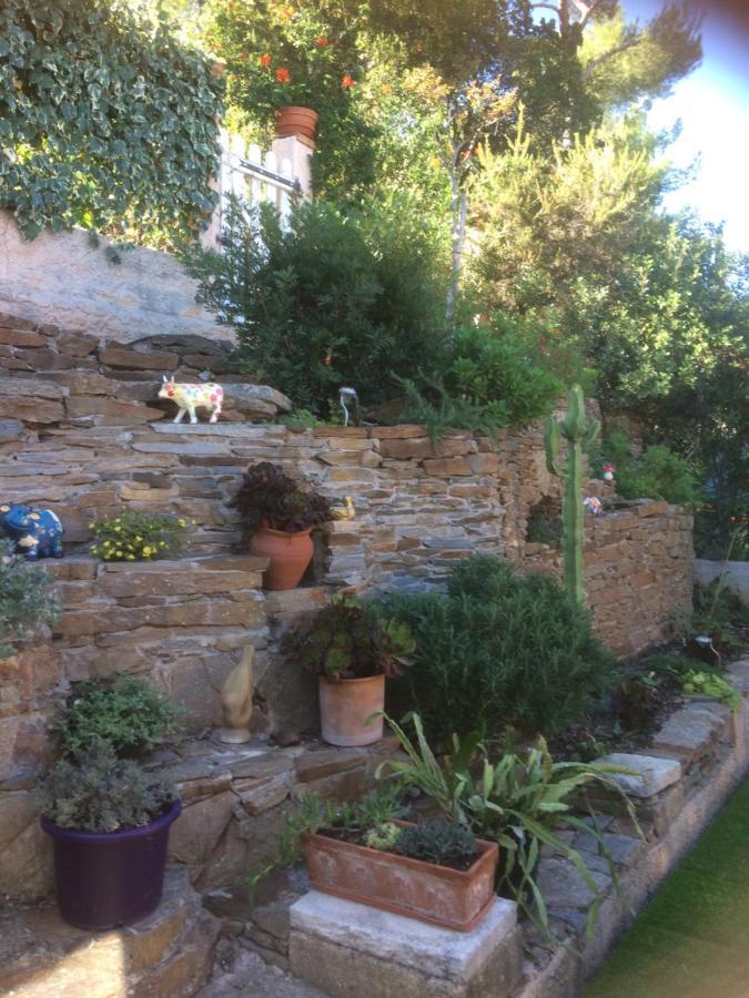 Logement Zen Sur La Colline Aux Mimosas Hyères Екстериор снимка