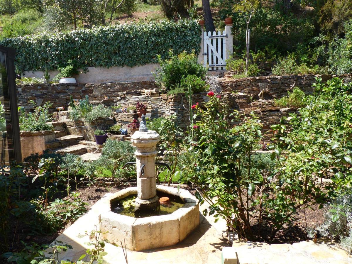 Logement Zen Sur La Colline Aux Mimosas Hyères Екстериор снимка